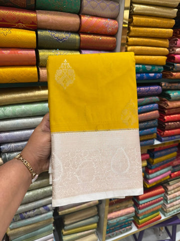 WhatsApp Image 2025-09-17 at 5.29.29 AM